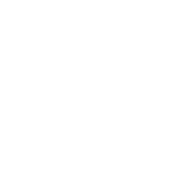Molti Orders Icon
