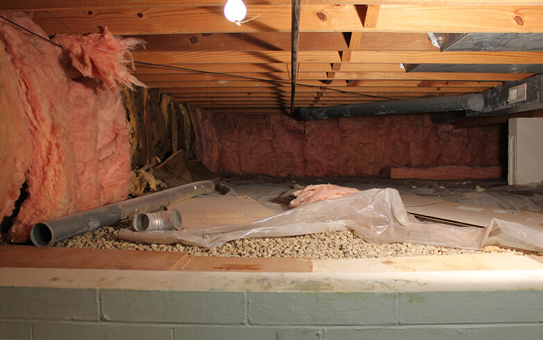 Crawl Space Before Crawl Space Before