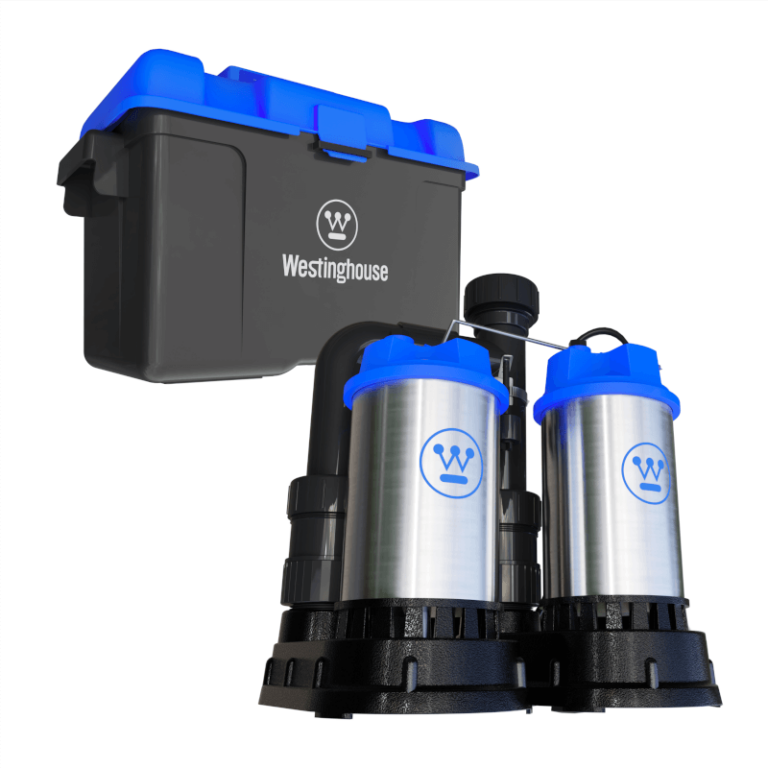 Westinghouse dual pump